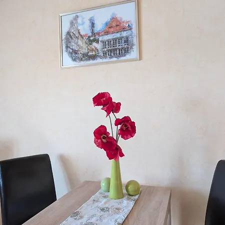 Ambiente-An-Der-Elbe-Wohnung-Og *