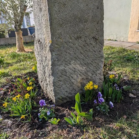 Ambiente-an-der-elbe-wohnung-og 德累斯顿