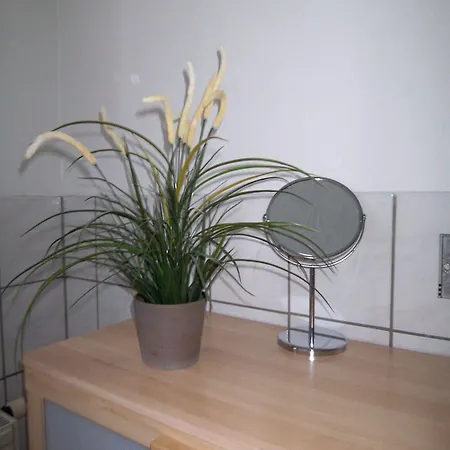 Ambiente-an-der-elbe-wohnung-og 公寓 德累斯顿