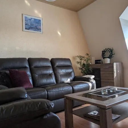 Ambiente-an-der-elbe-wohnung-og 德累斯顿