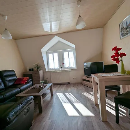 公寓 Ambiente-an-der-elbe-wohnung-og 德累斯顿