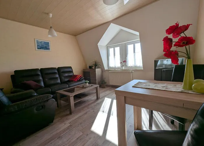 Ambiente-an-der-elbe-wohnung-og Dresda