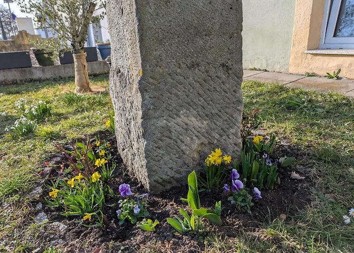 Ambiente-An-Der-Elbe-Wohnung-Og Dresden